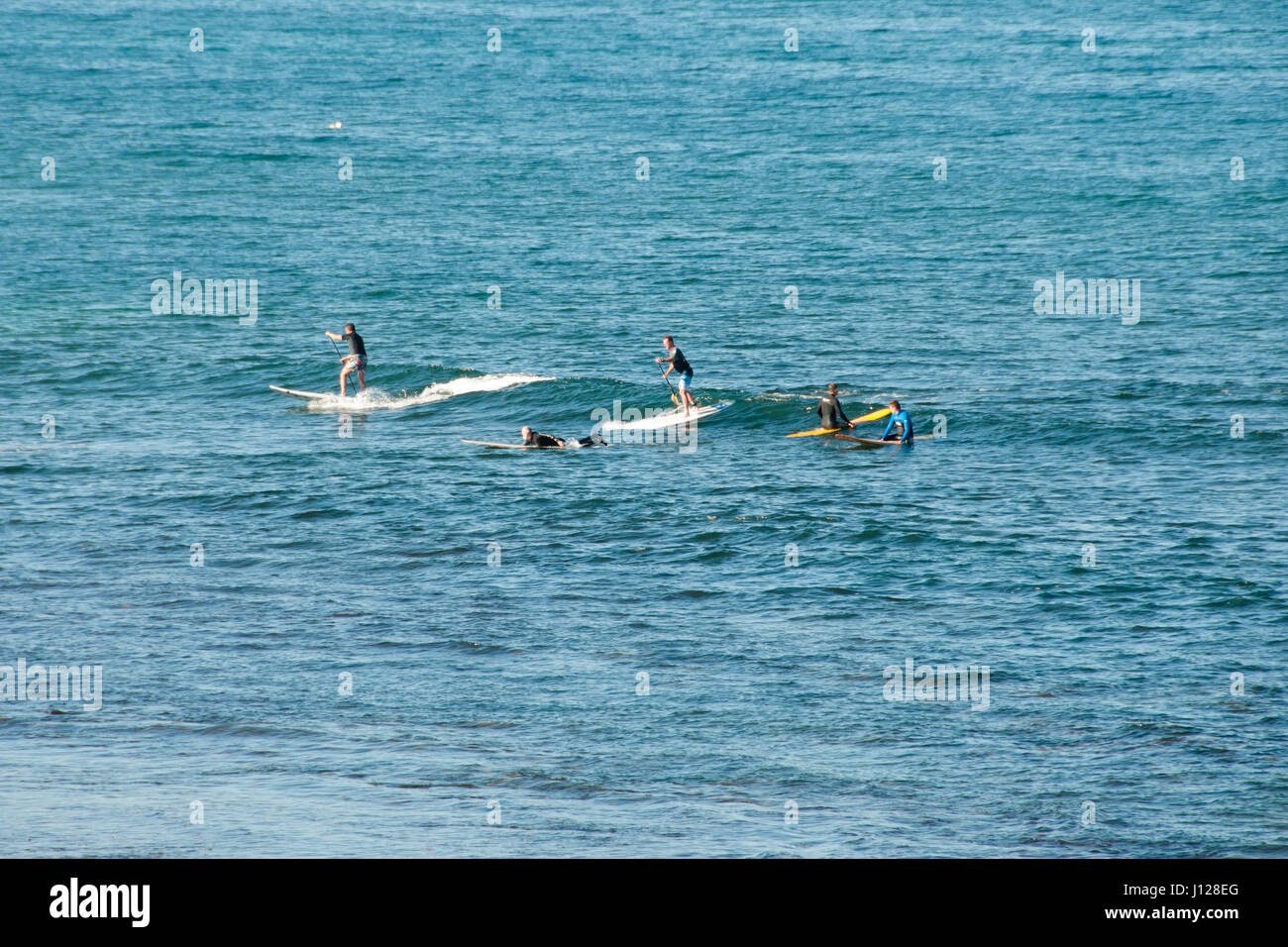 Stand Up Paddle Surfers Stock Photo Alamy