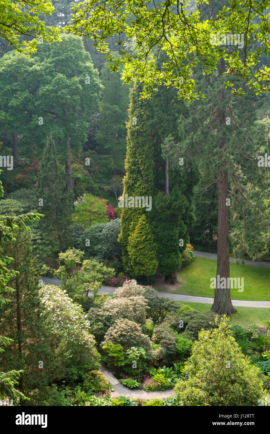 Bodnant Garden, Conwy, Wales, UK. Springtime in the valley known as the Dell Stock Photo