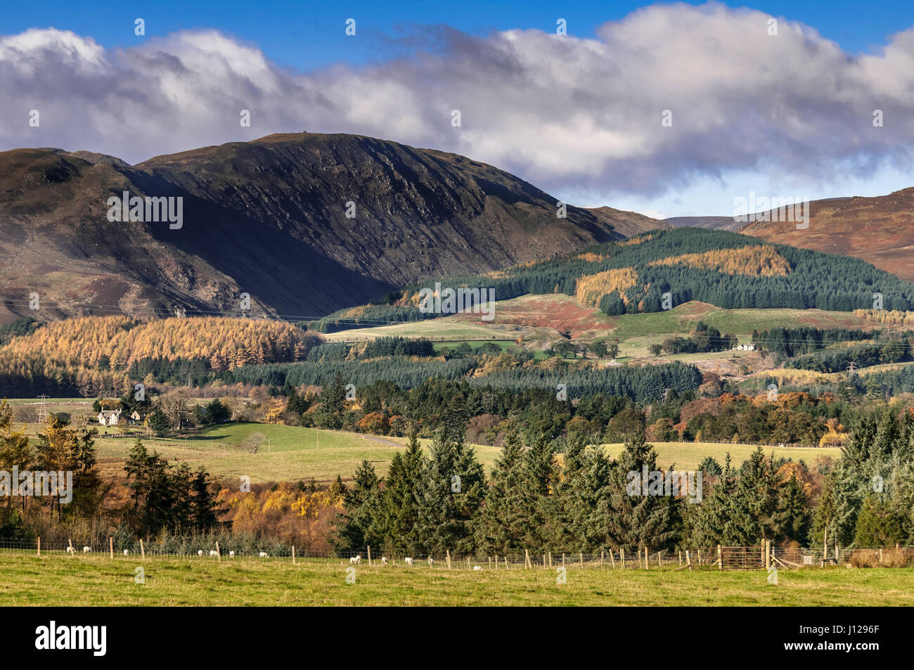 Looking towards the Sma' Glen from Glenalmond in Perthshire. Stock Photo