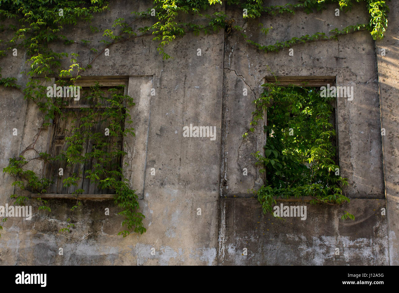 Abandoned buildings in the old part of Porto, Portugal. Stock Photo