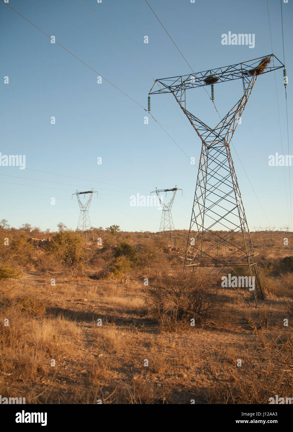 South africa power lines hires stock photography and images Alamy
