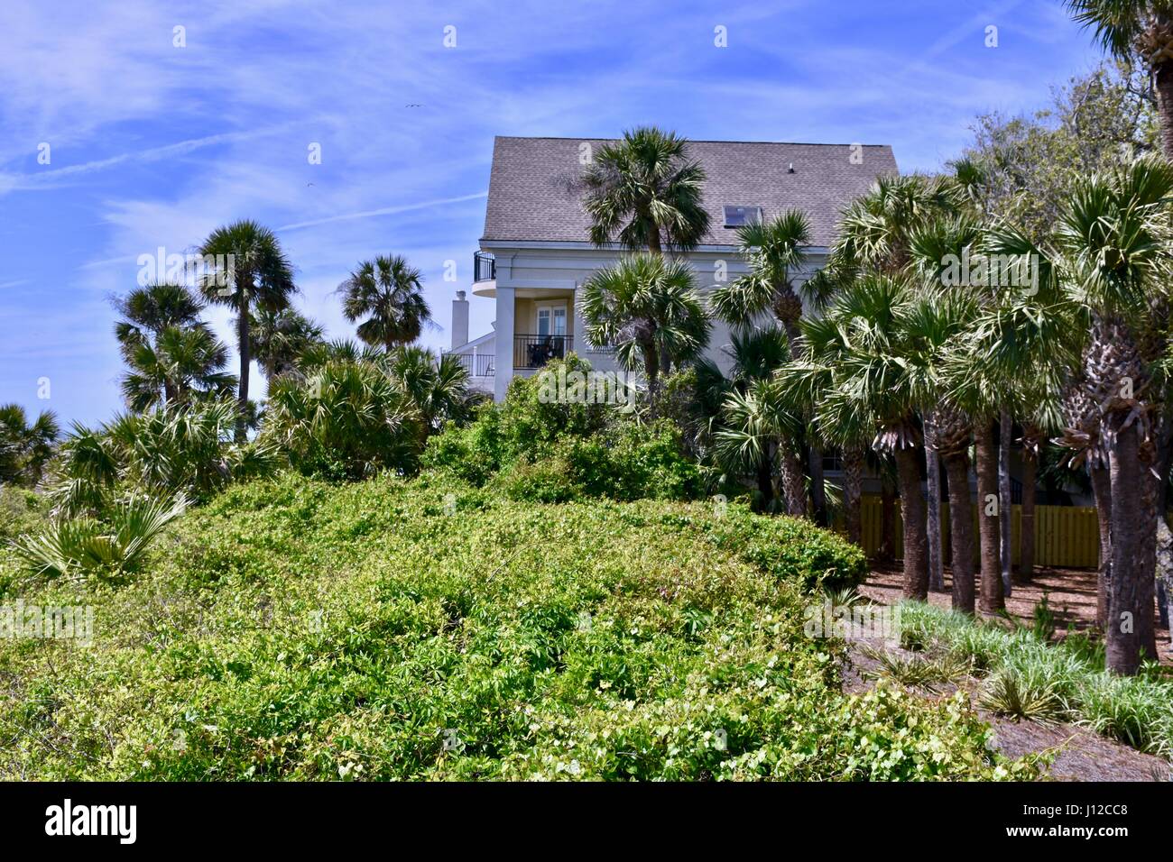 Beachfront property on the South Carolina coast, USA Stock Photo Alamy