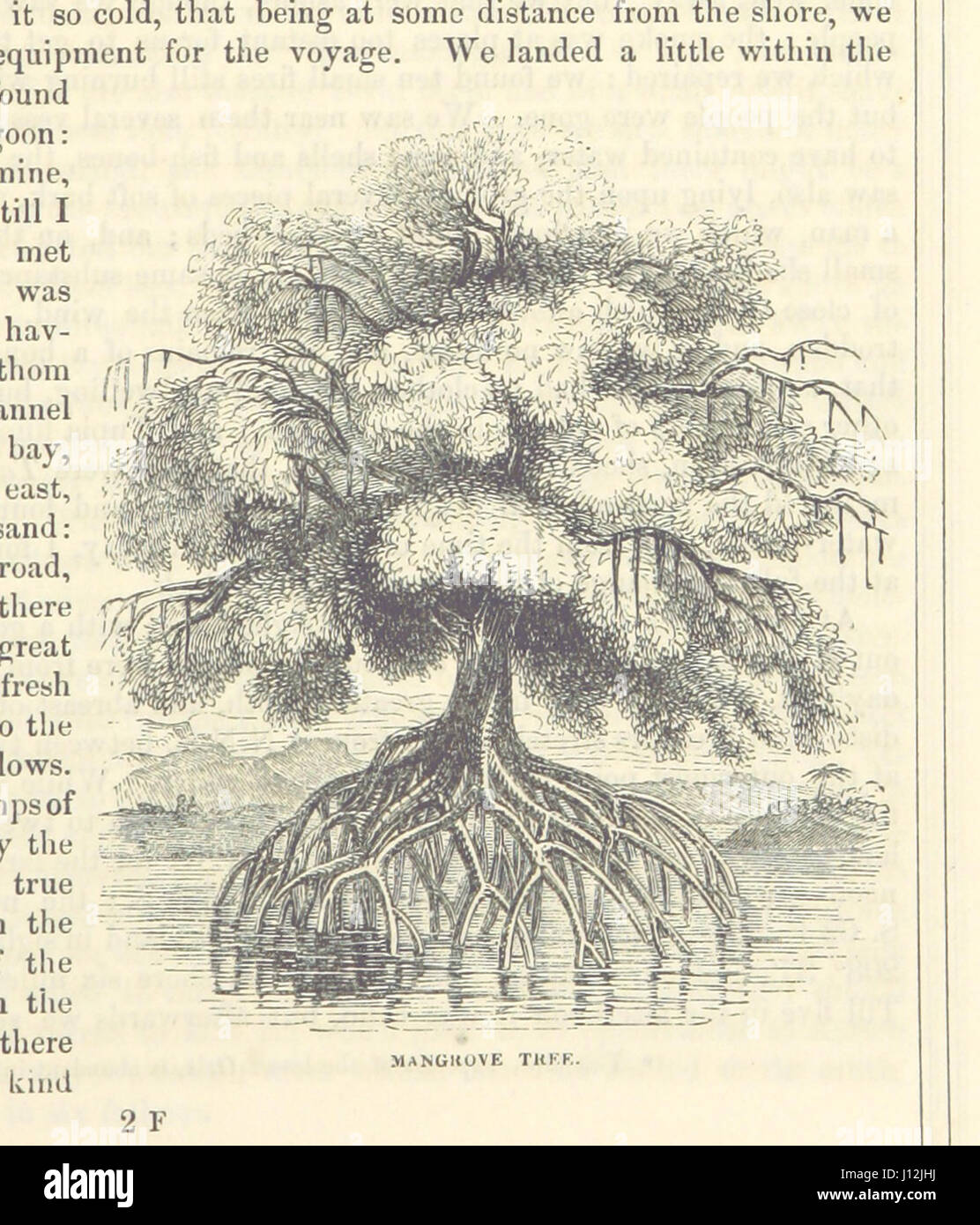 [The Voyages of Captain James Cook. Illustrated ... With an appendix ...