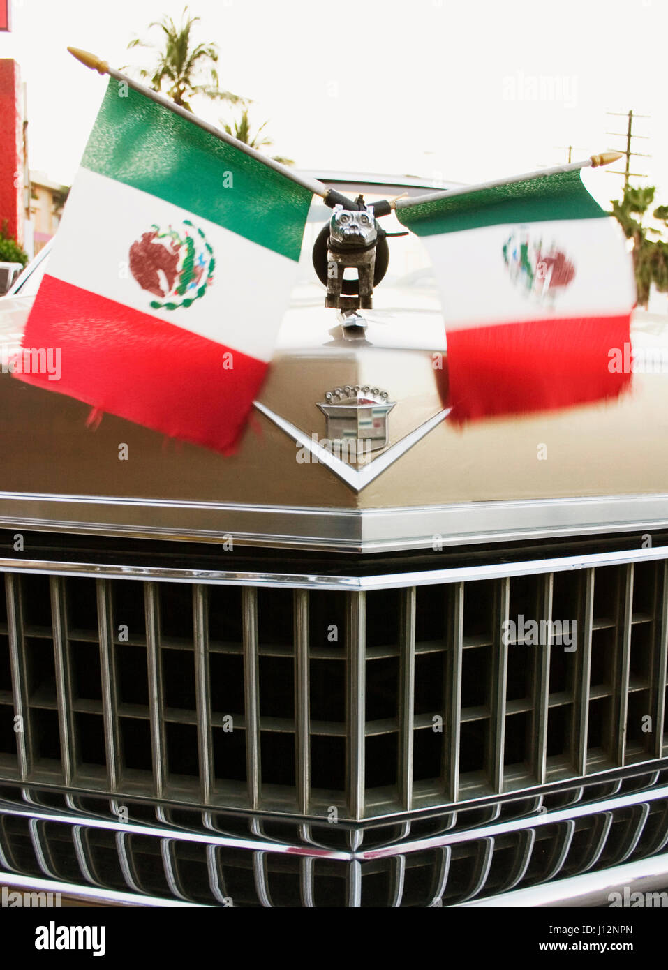 Mexican flags on car Stock Photo Alamy