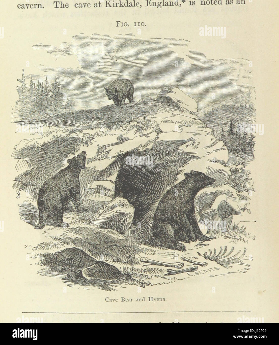 Fable About Rocks The Story of the Rocks. Fourteen weeks in popular geology Stock Photo ...