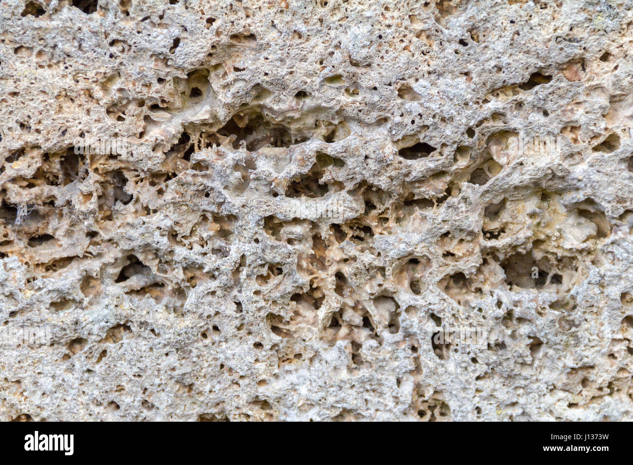 Porous Stone High Resolution Stock Photography and Images - Alamy