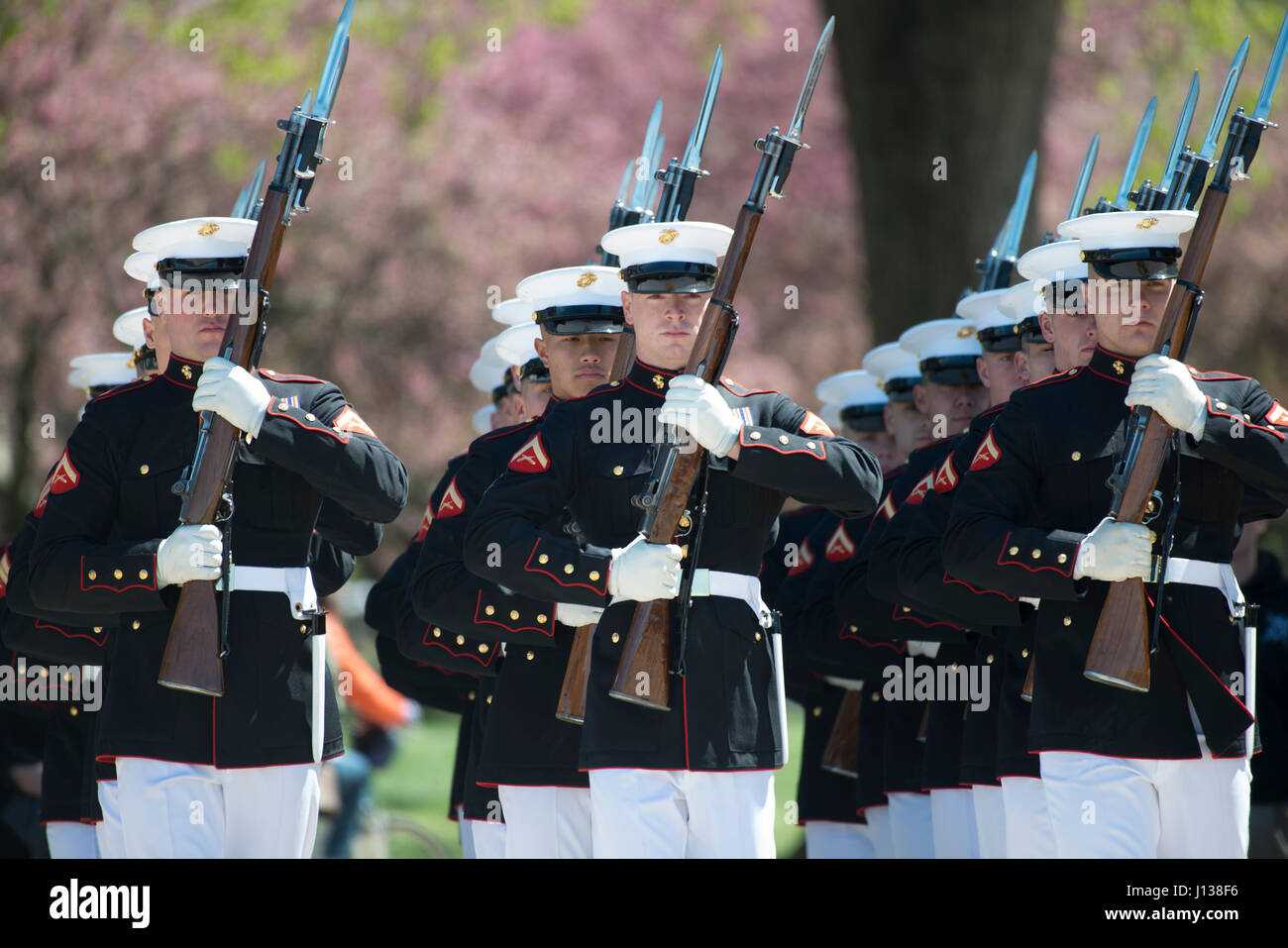 U s army silent drill team hi-res stock photography and images - Alamy