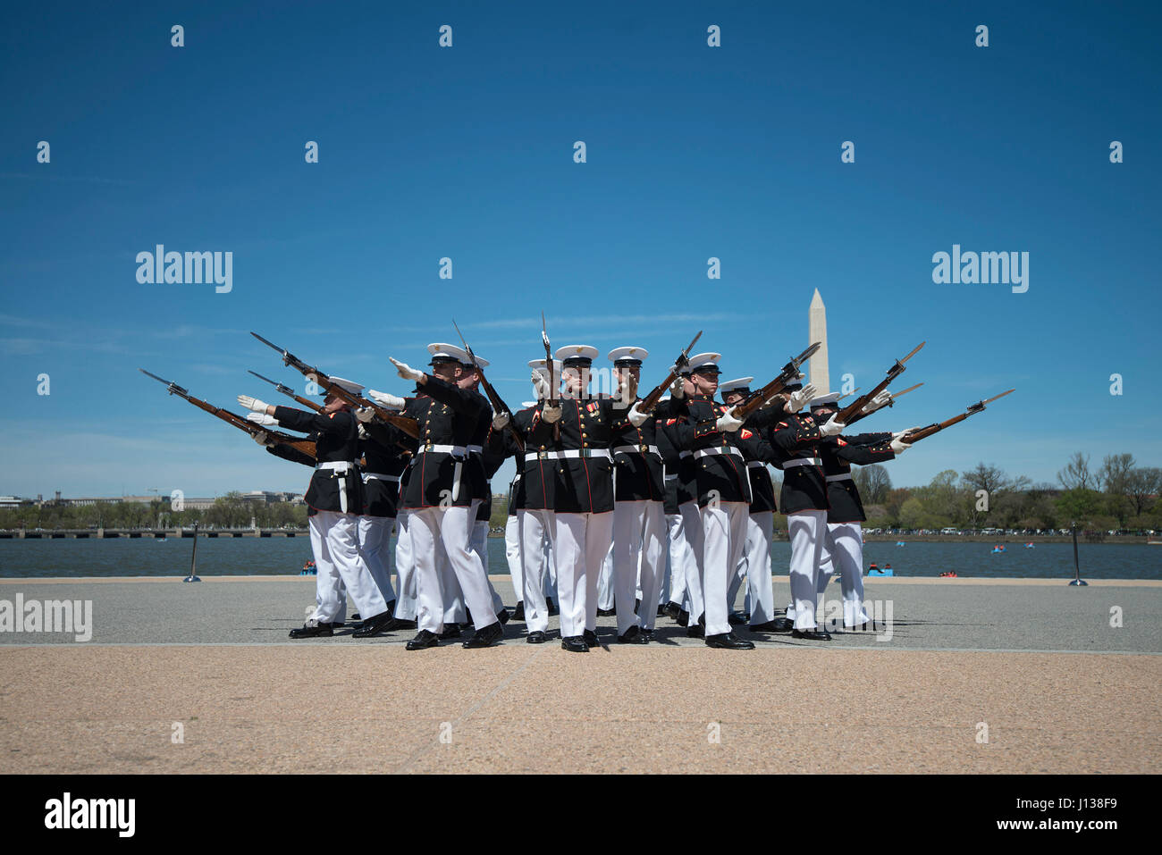 U s army silent drill team hires stock photography and images Alamy