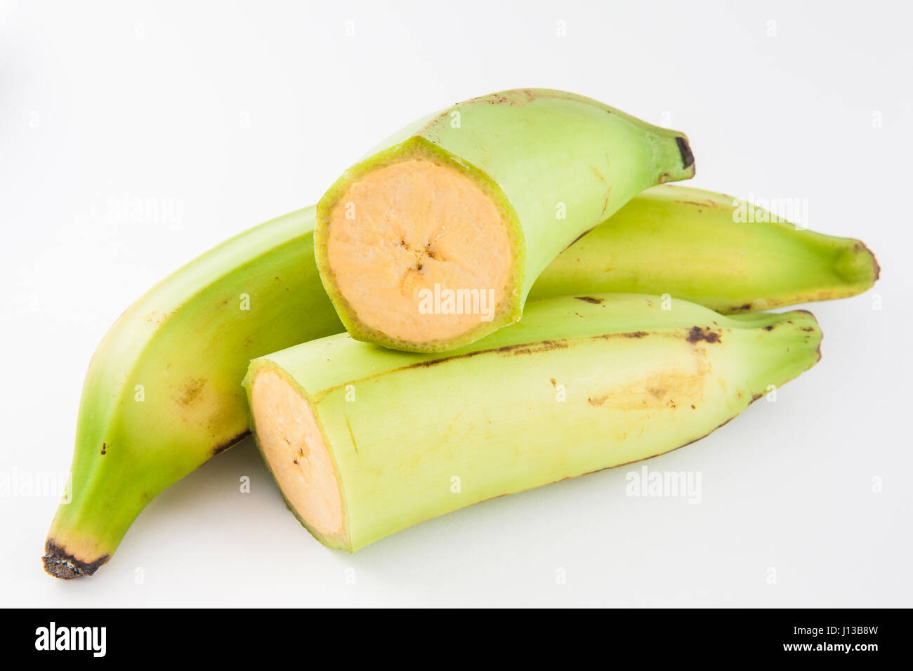 Plantain or Green Banana (Musa x paradisiaca) isolated in white
