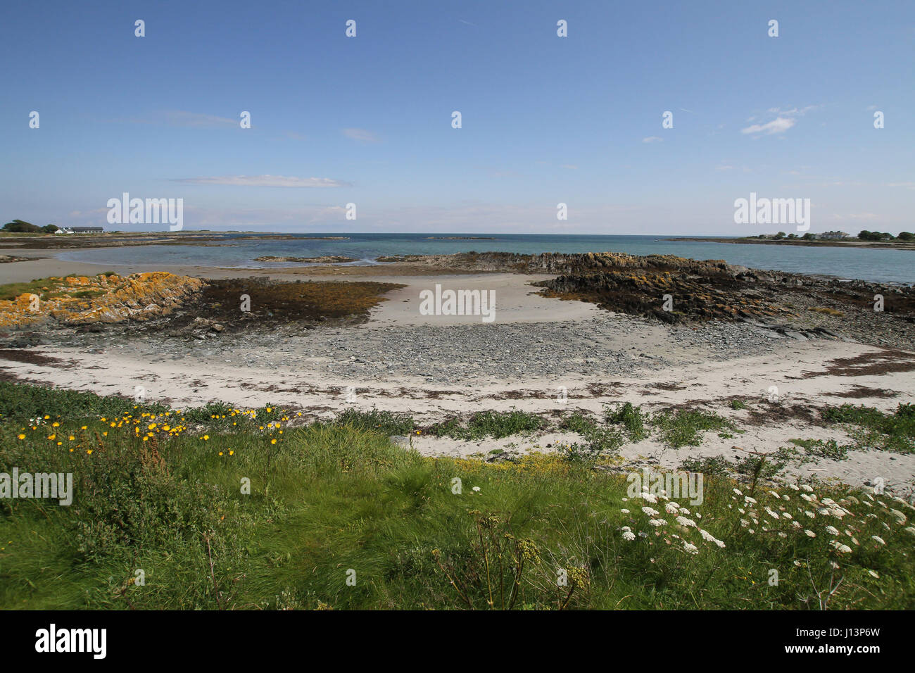 Sandy beach on County Down coast, Northern Ireland. The beach is at Kearney, near the village of Portaferry on the Ards Peninsula, County Down. Stock Photo