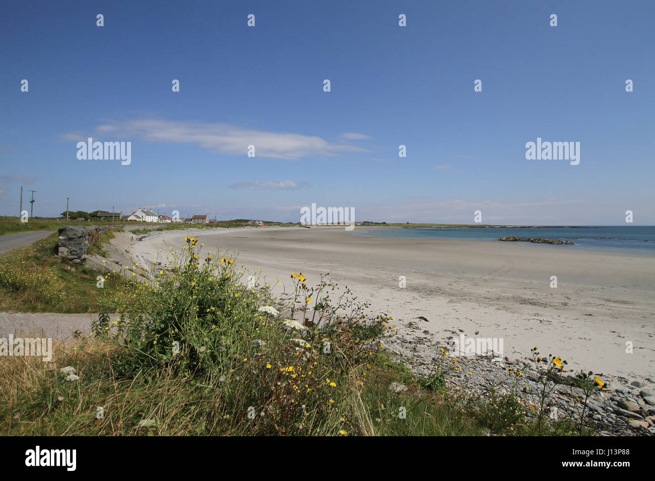 Sandy beach on County Down coast, Northern Ireland. The beach is at Kearney, near the village of Portaferry on the Ards Peninsula, County Down. Stock Photo