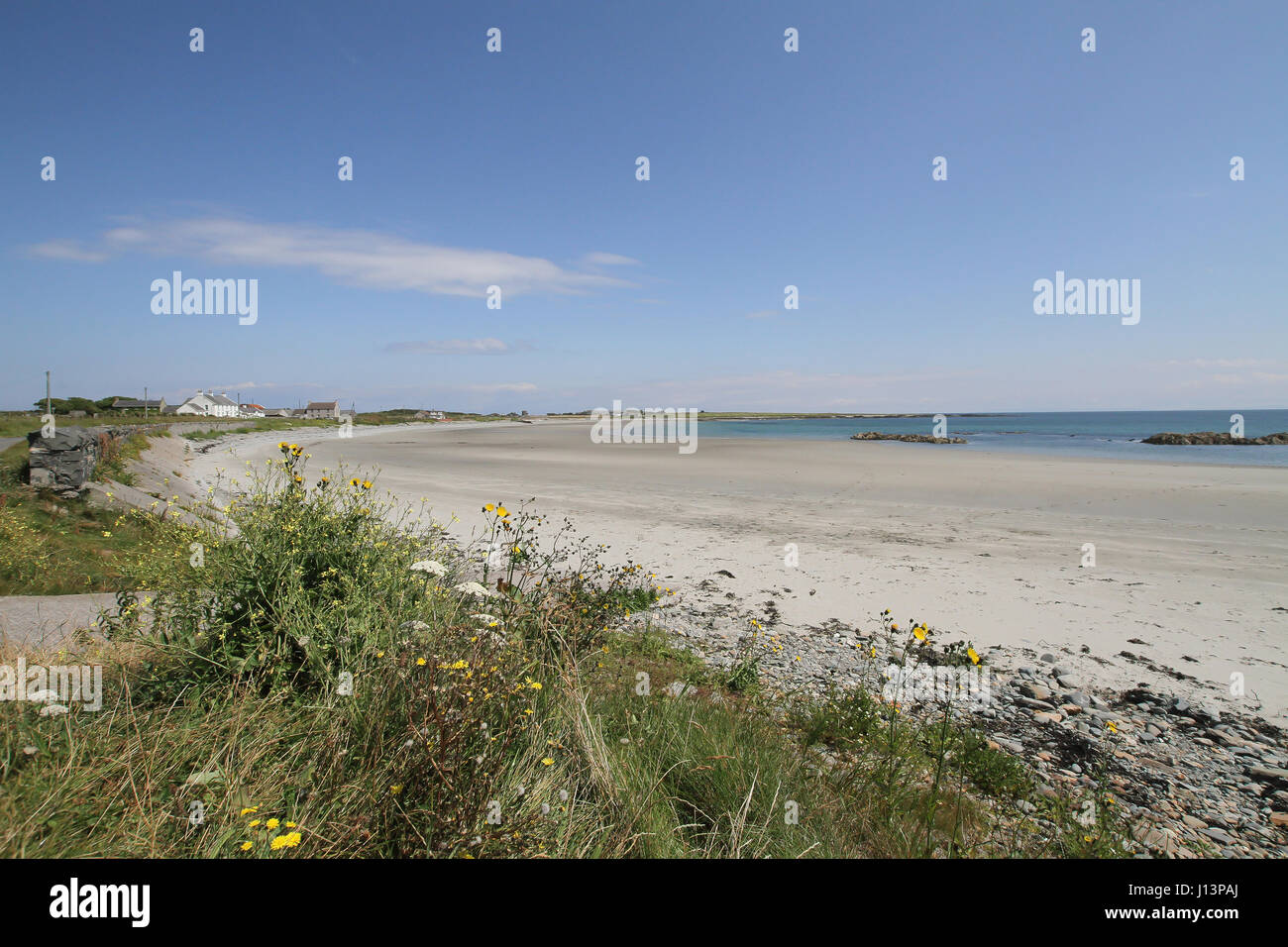 Sandy beach on County Down coast, Northern Ireland. The beach is at Kearney, near the village of Portaferry on the Ards Peninsula, County Down. Stock Photo