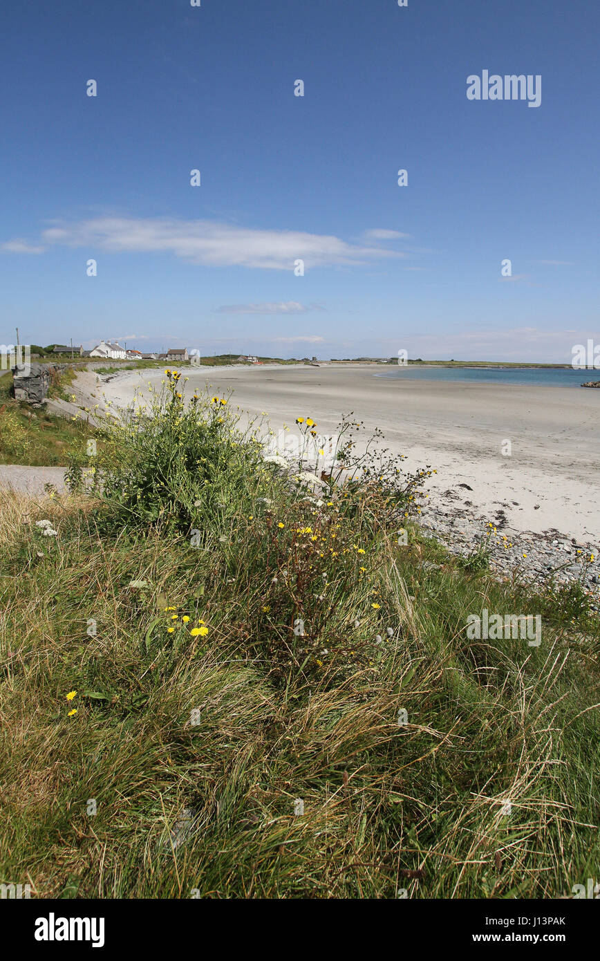 Sandy beach on County Down coast, Northern Ireland. The beach is at Kearney, near the village of Portaferry on the Ards Peninsula, County Down. Stock Photo