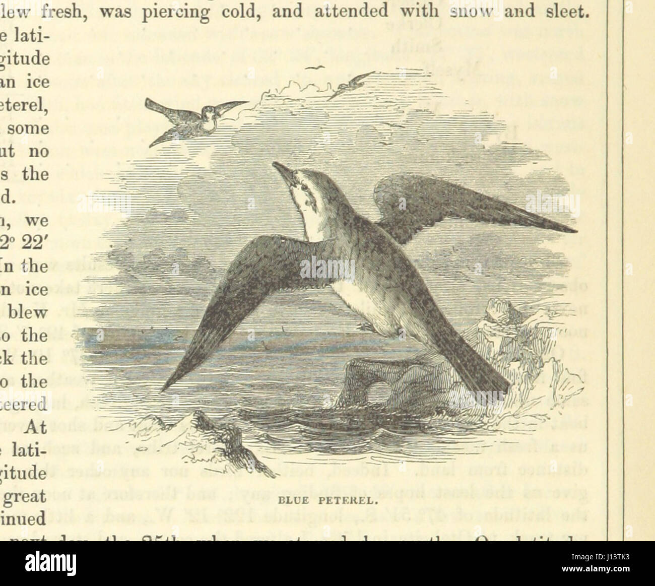 [The Voyages of Captain James Cook. Illustrated ... With an appendix ...