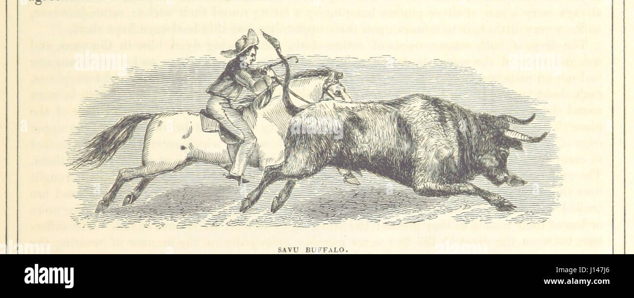 [The Voyages of Captain James Cook. Illustrated ... With an appendix ...