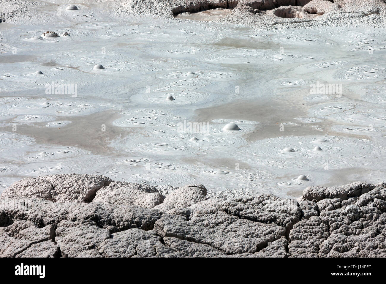 Fumaroles, Fountain Paint Area, Lower Geyser Basin, Yellowstone National Park, Wyoming, USA Stock Photo