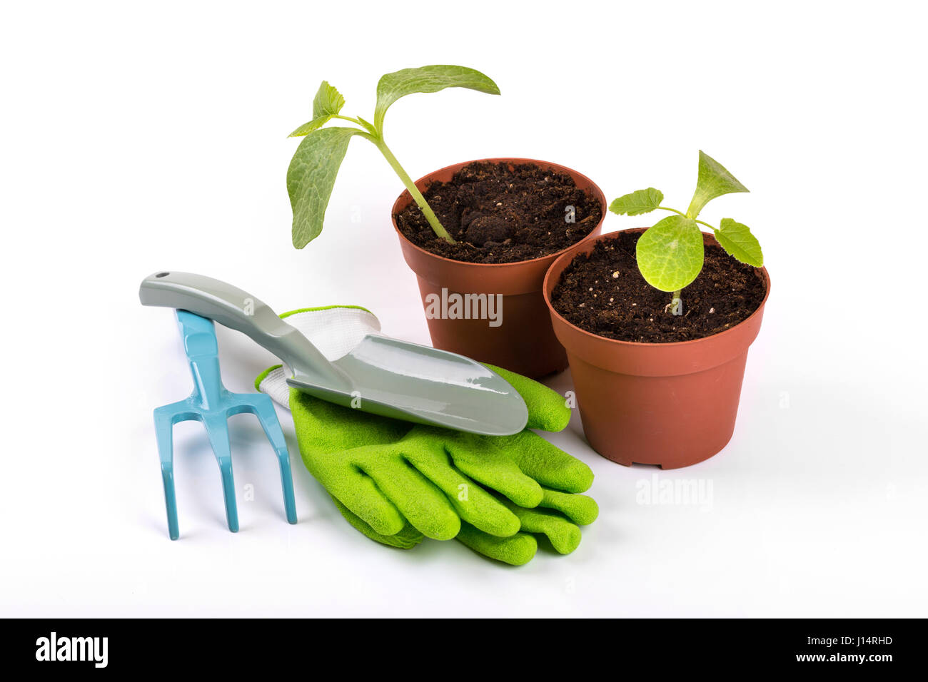 gardening equipment and potted plants isolated on white background Stock Photo