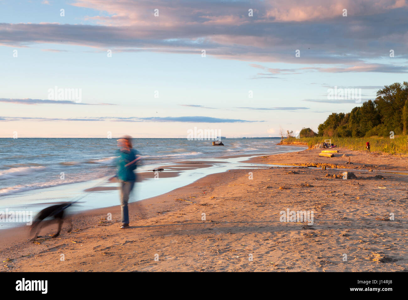 A woman walks a dog along Boiler Beach on Lake Huron, Ontario, Canada. Near the town of Kincardine Stock Photo