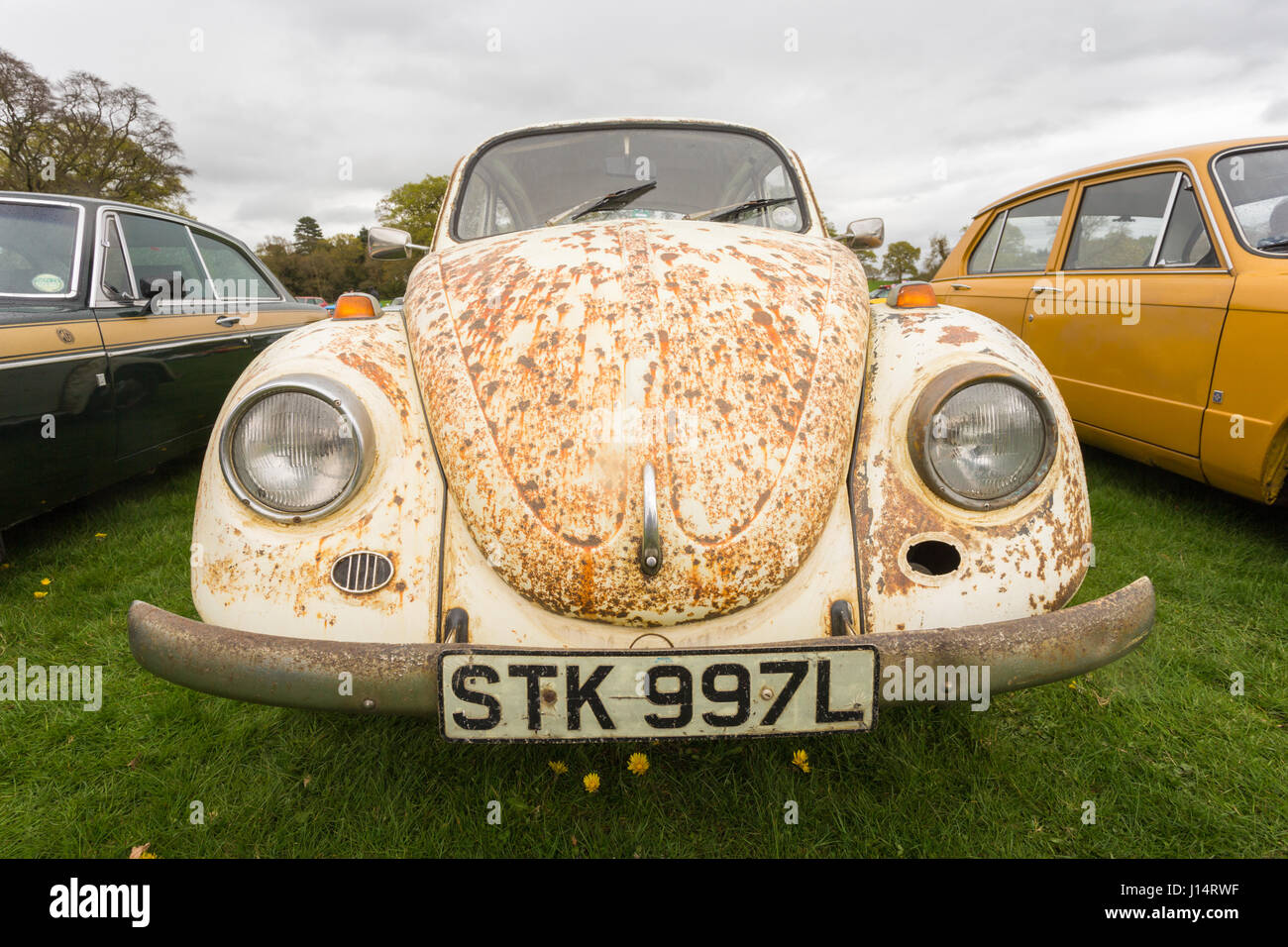VW Volkswagen Beetle with sever paint corrosionon bodywork Stock Photo