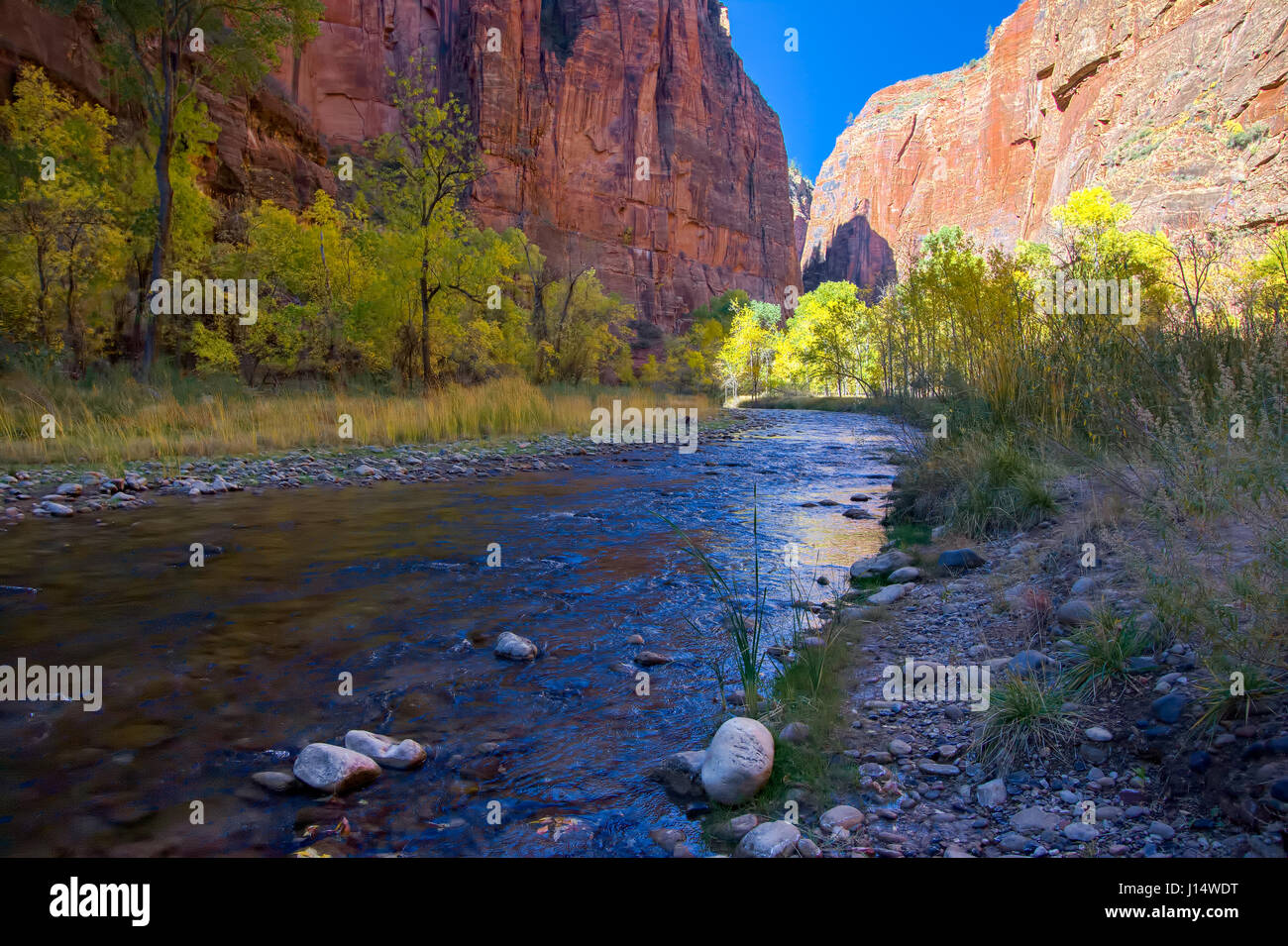 November Sunshine Falls on the Virgin River Stock Photo Alamy