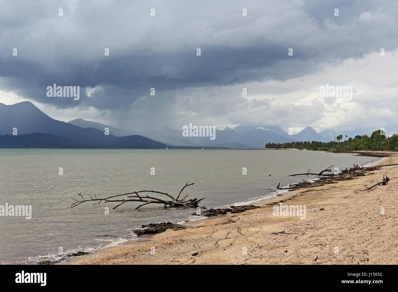 Cardwell is a popular coastal town stopover about half way between Townsville and Cairns in north Queensland Stock Photo