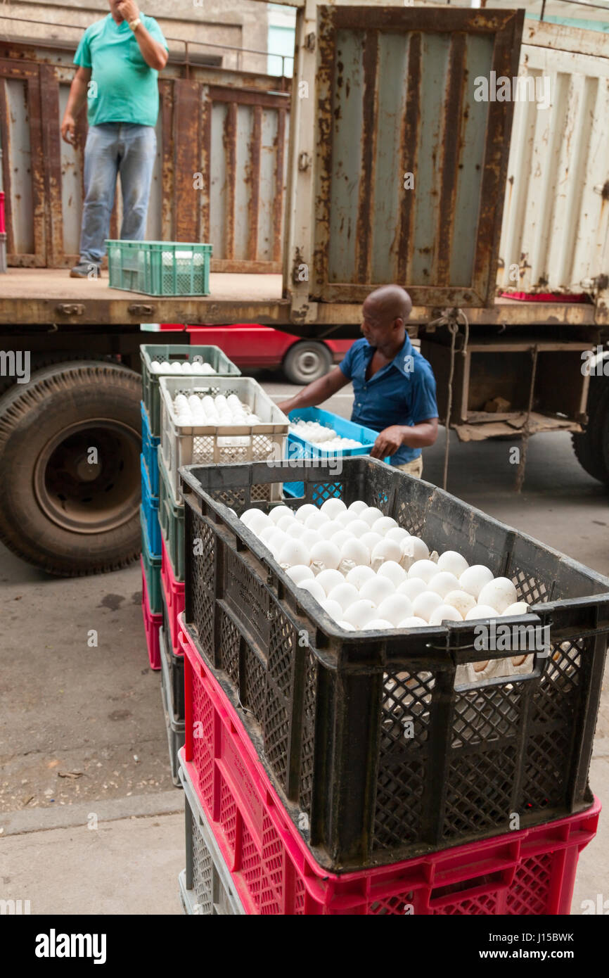 Two men loading or unloading egg crates from a delivery truck in Havana, Cuba. Stock Photo