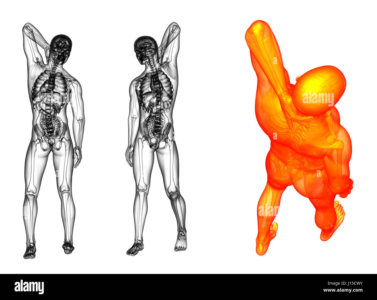3 Body Rendering 3D rendering medical illustration of the human Stock Photo - Alamy