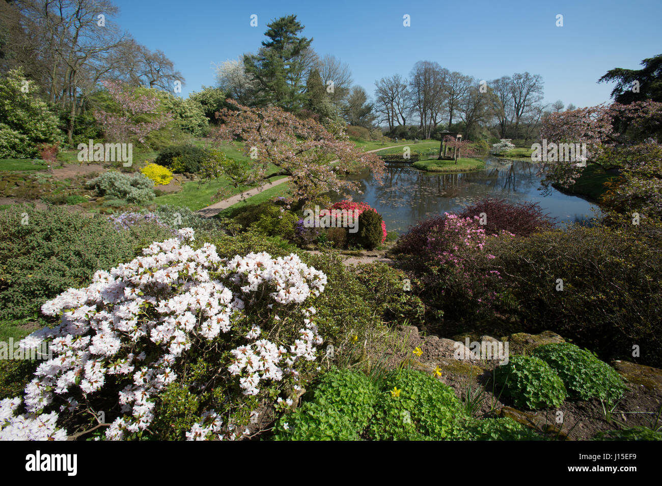 Cholmondeley Castle Gardens. Picturesque spring view of Cholmondeley Castle’s Temple Garden. Stock Photo