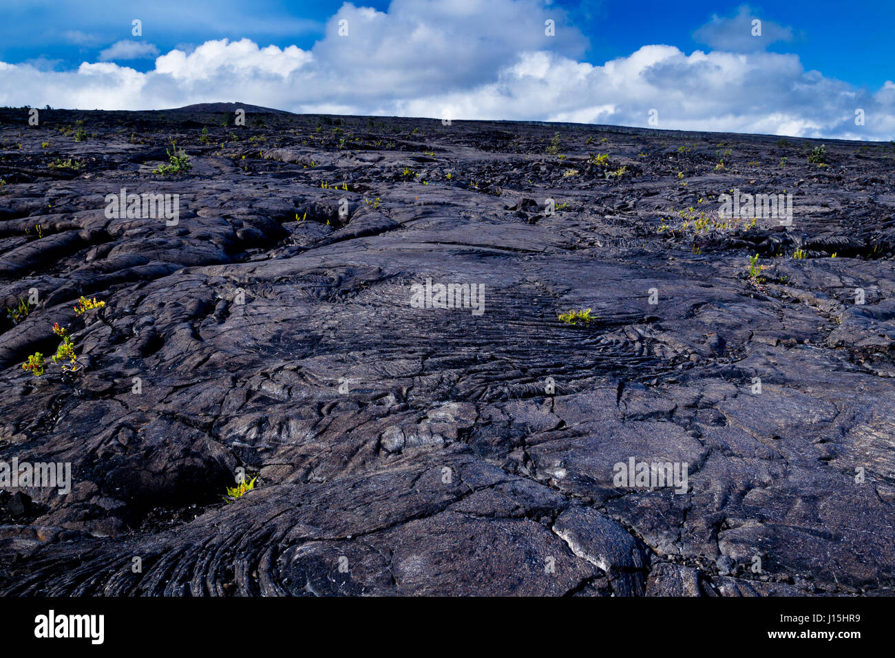 Volcanic Landscape with solidified lava flows in the Hawaii Volcanoes National Park on Big Island, Hawaii, USA. Stock Photo