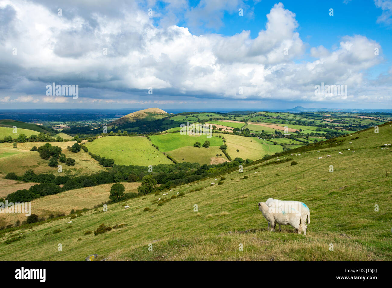 The Lawley from Willstone Hill in the Hope Bowdler hills, near Church Stretton, Shropshire, England, UK. Stock Photo