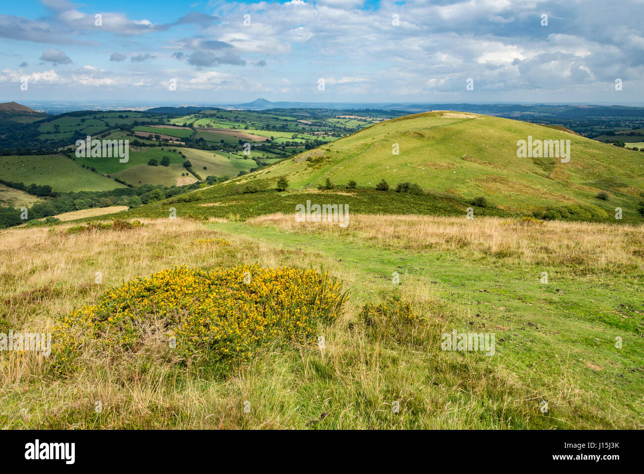 Willstone Hill from Hope Bowdler Hill, near Church Stretton, Shropshire, England, UK. The Wrekin in the far distance. Stock Photo