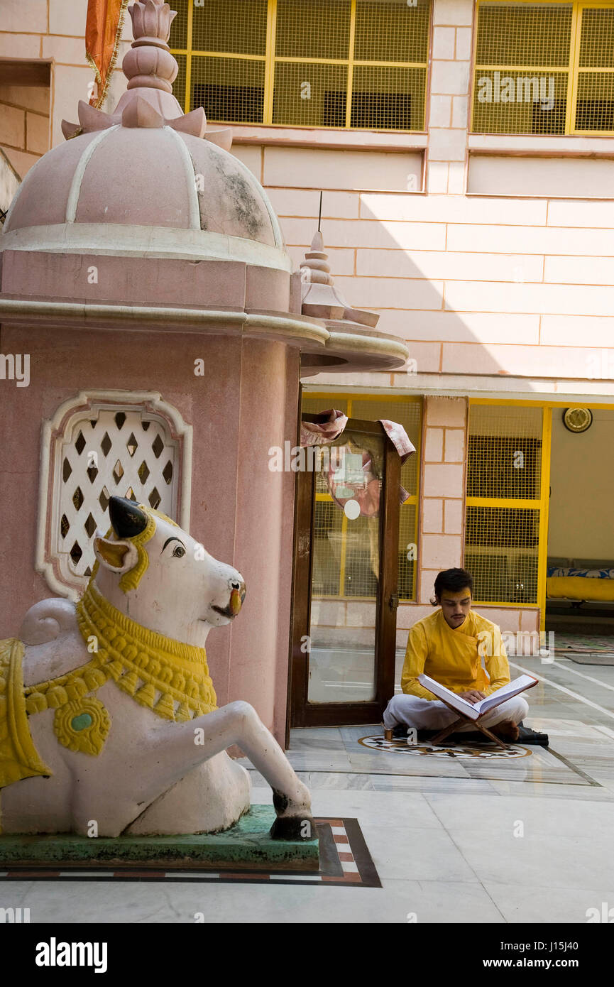 Man reading holy book in front of hanuman temple, mathura, uttar pradesh, india, asia Stock Photo