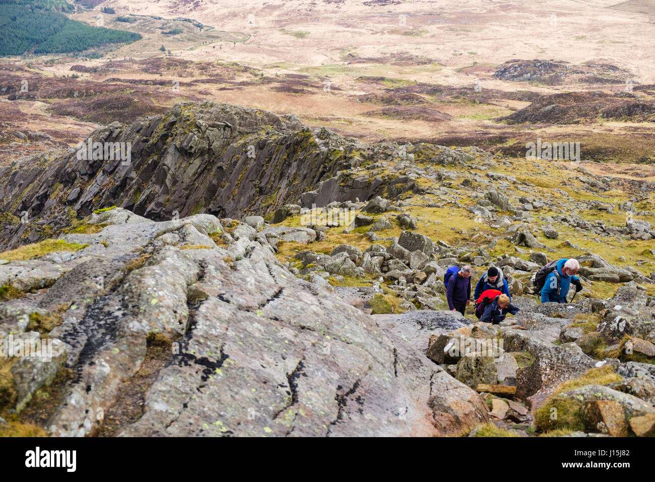 Hikers climbing on Daear Ddu east ridge on Carnedd Moel Siabod mountain in mountains of Snowdonia National Park. Capel Curig Conwy Wales UK Britain Stock Photo