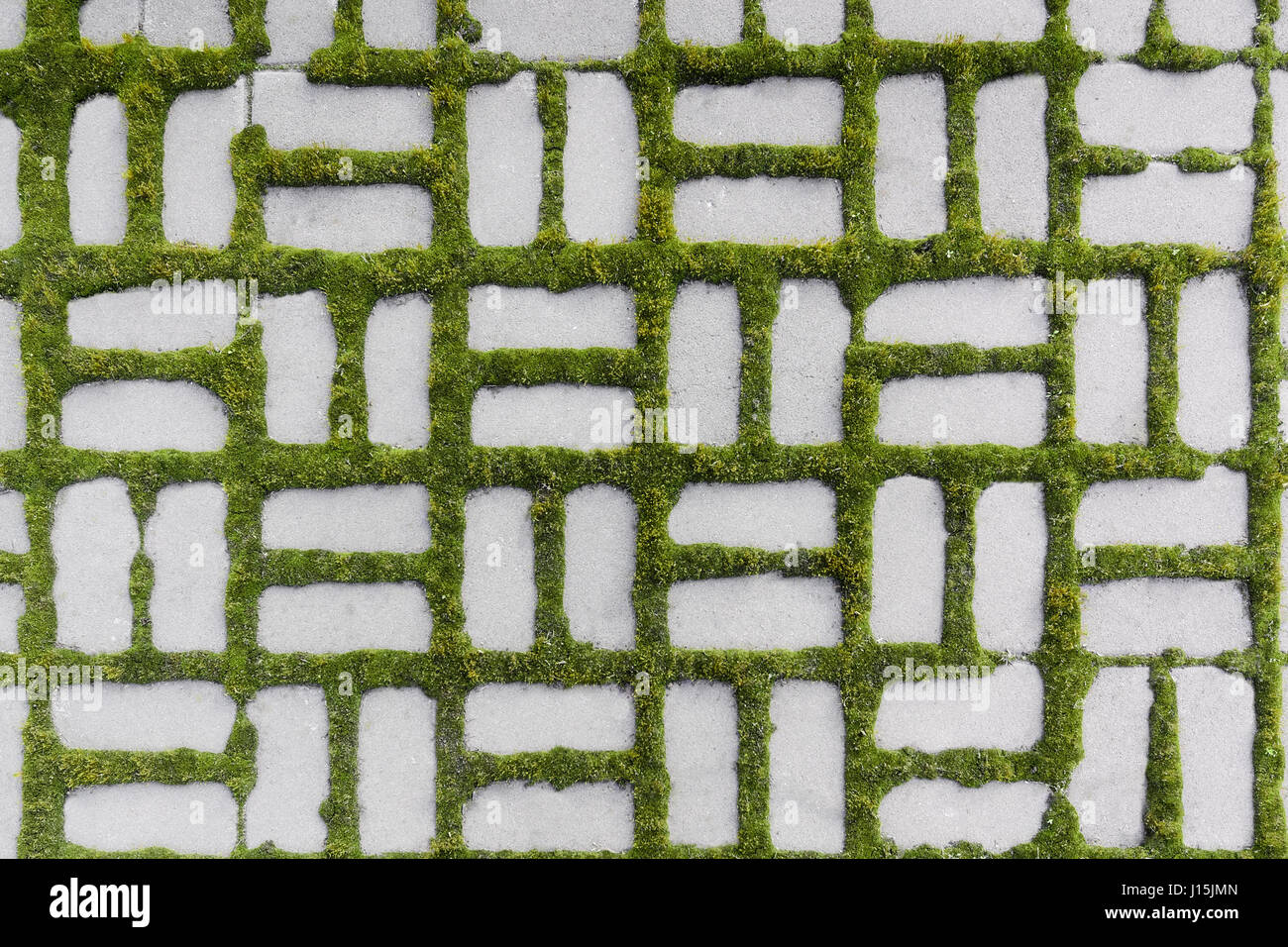 Closeup paving slabs pattern with a sprouted grass Stock Photo