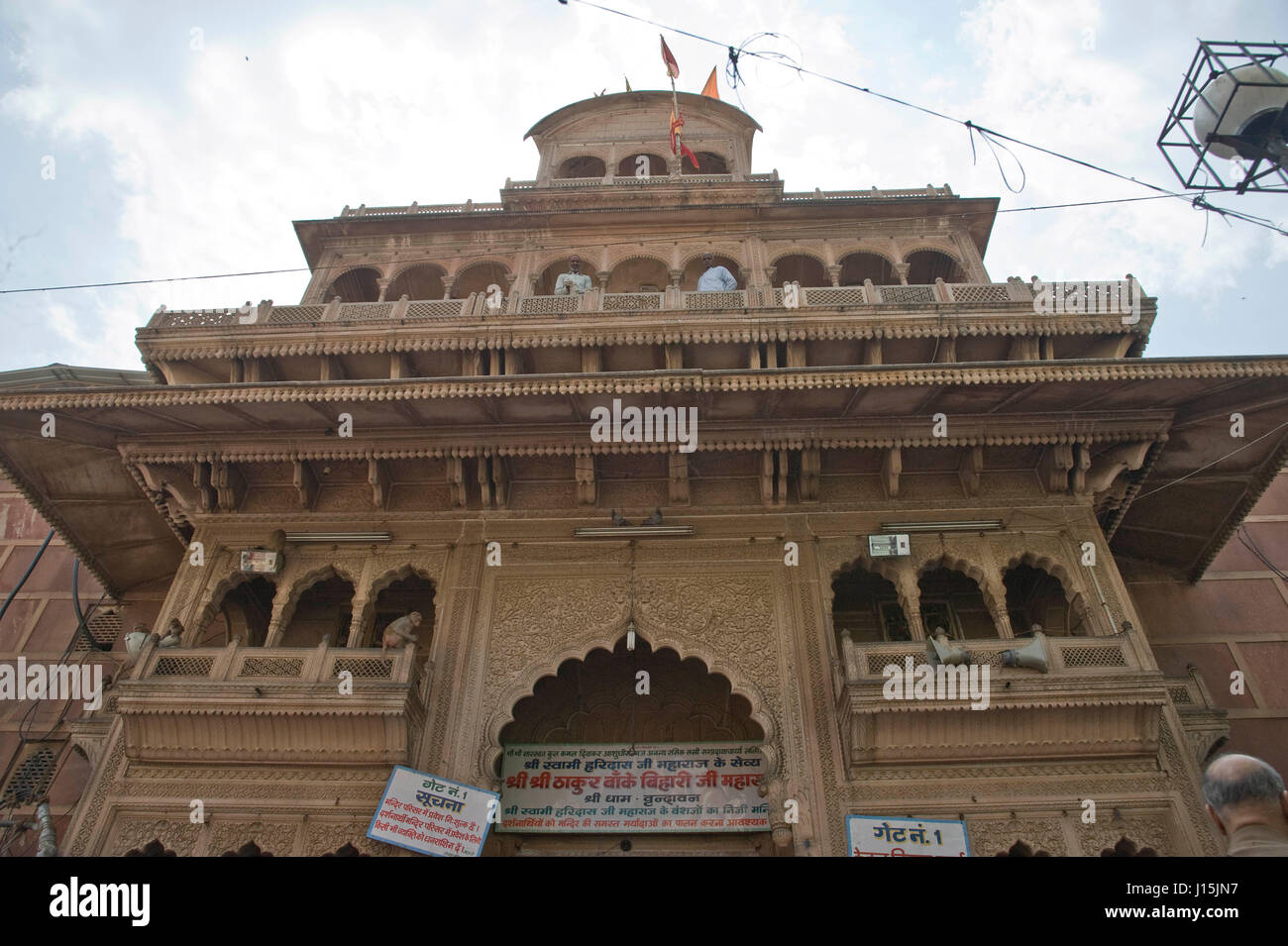 holi in banke bihari temple vrindavan