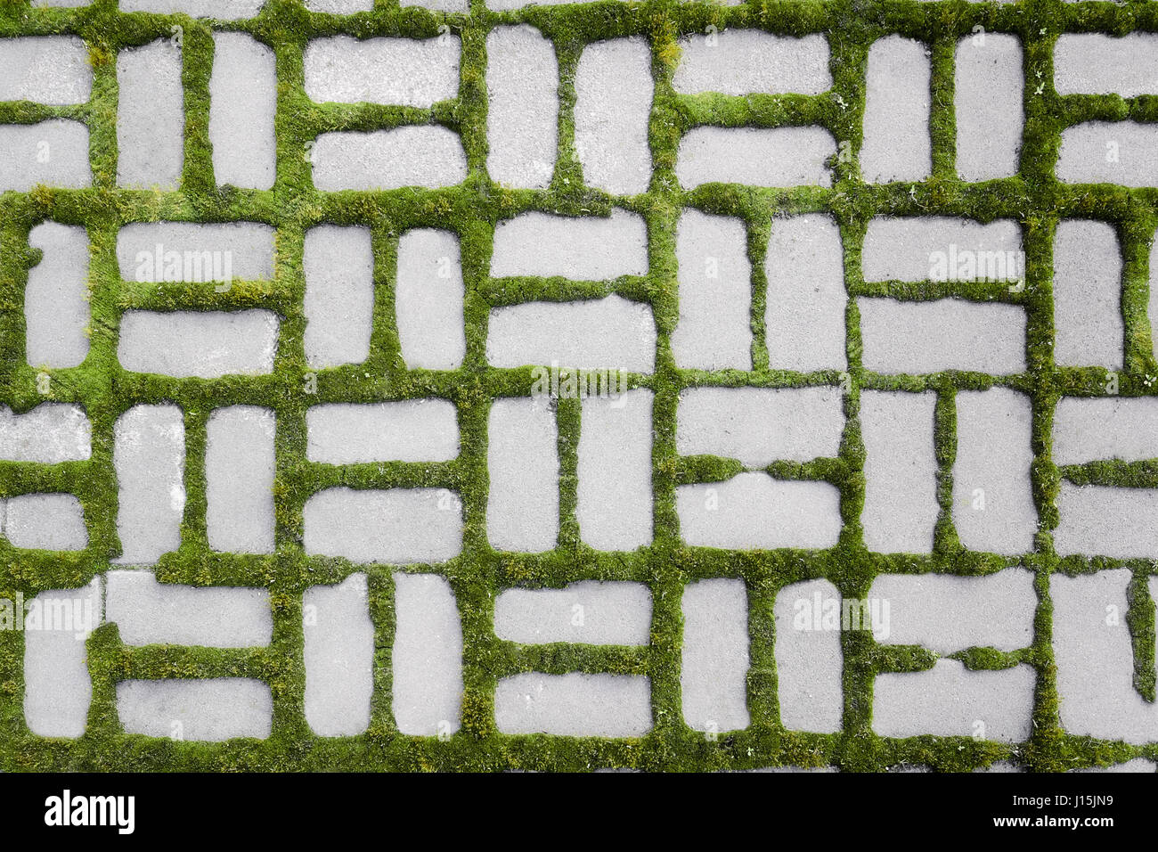 Grass paving pattern surface hires stock photography and images Alamy