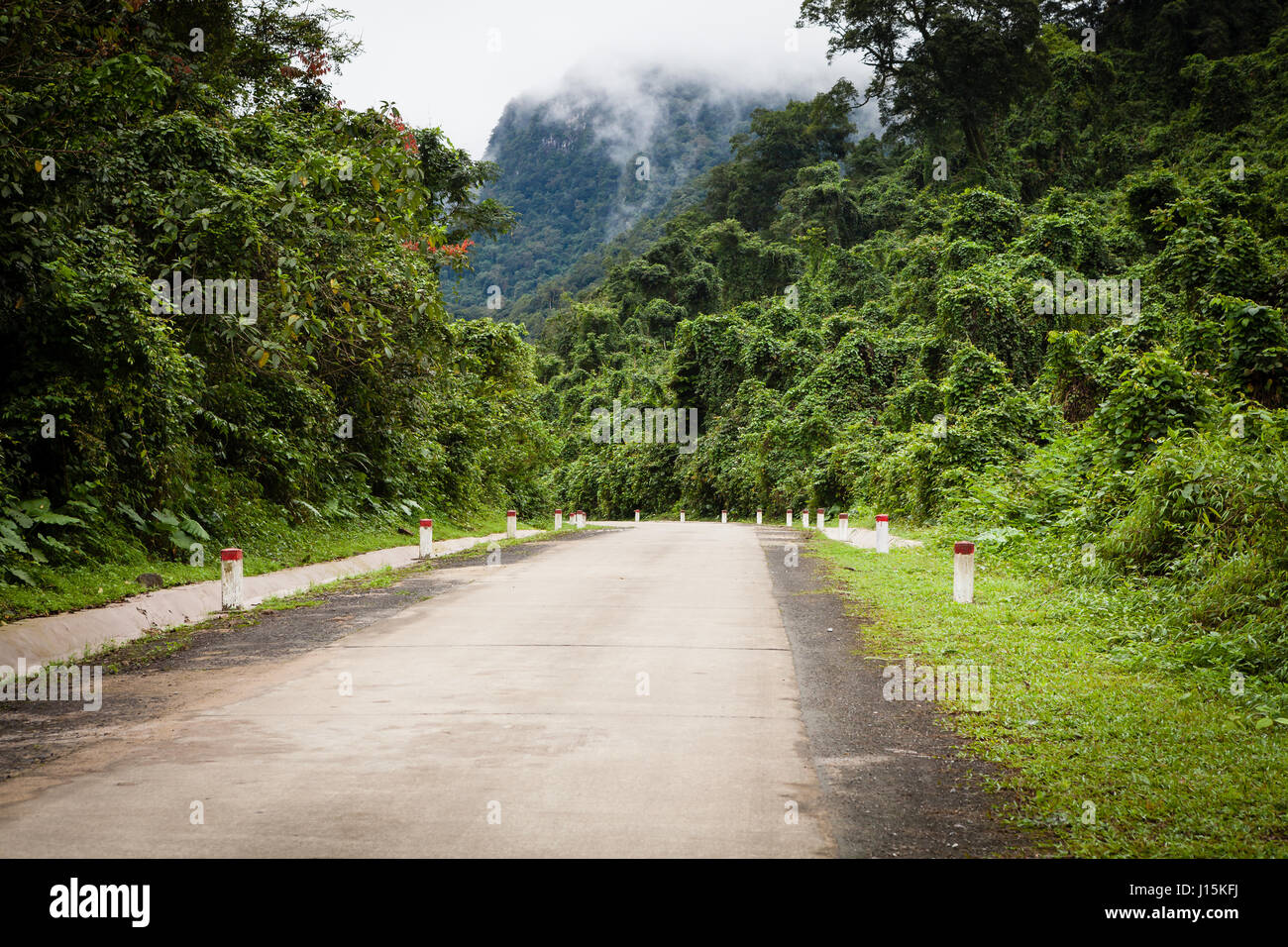 Phong Nha, Vietnam - march 9 2017: road through the jungle, Ke-Bang National Park Stock Photo