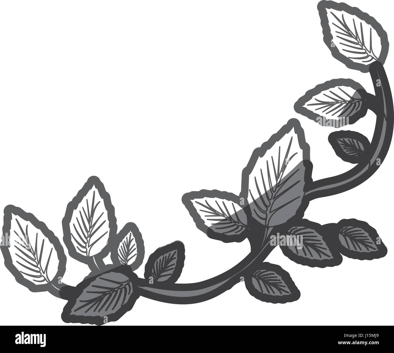 grayscale silhouette of creeper plant Stock Vector Image & Art Alamy