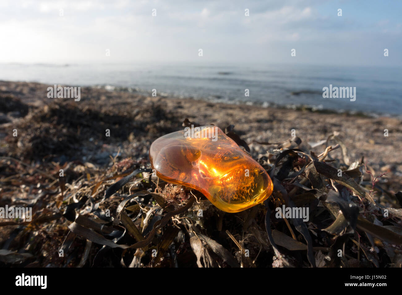 amber stones baltic sea germany Stock Photo