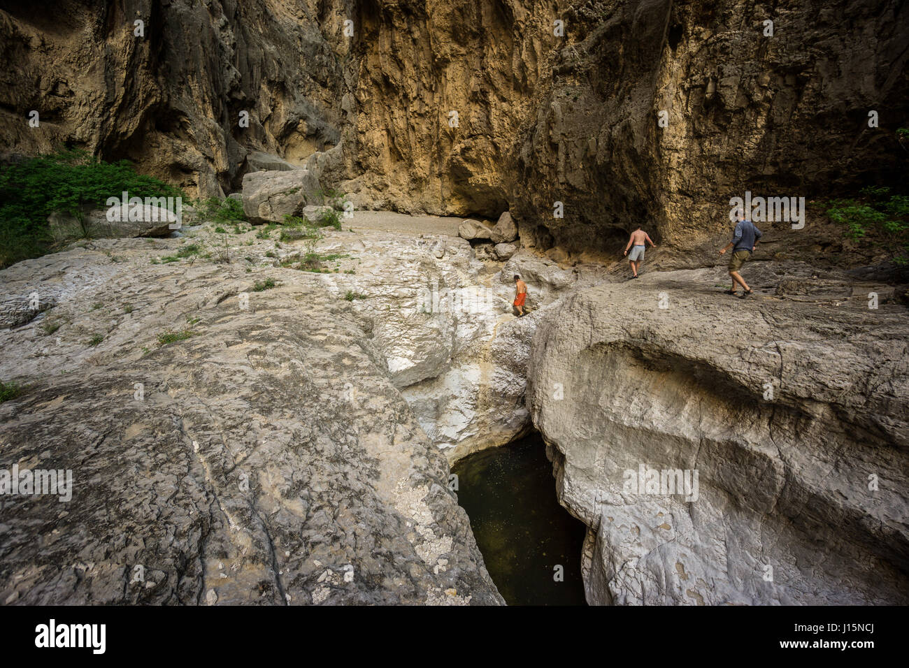 Fern Canyon (a side canyon of Santa Elena canyon), Rio Grande river