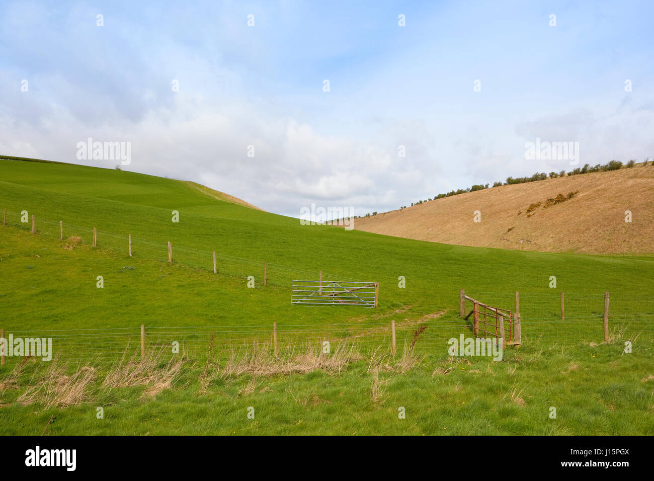 Lush green meadows hi-res stock photography and images - Alamy