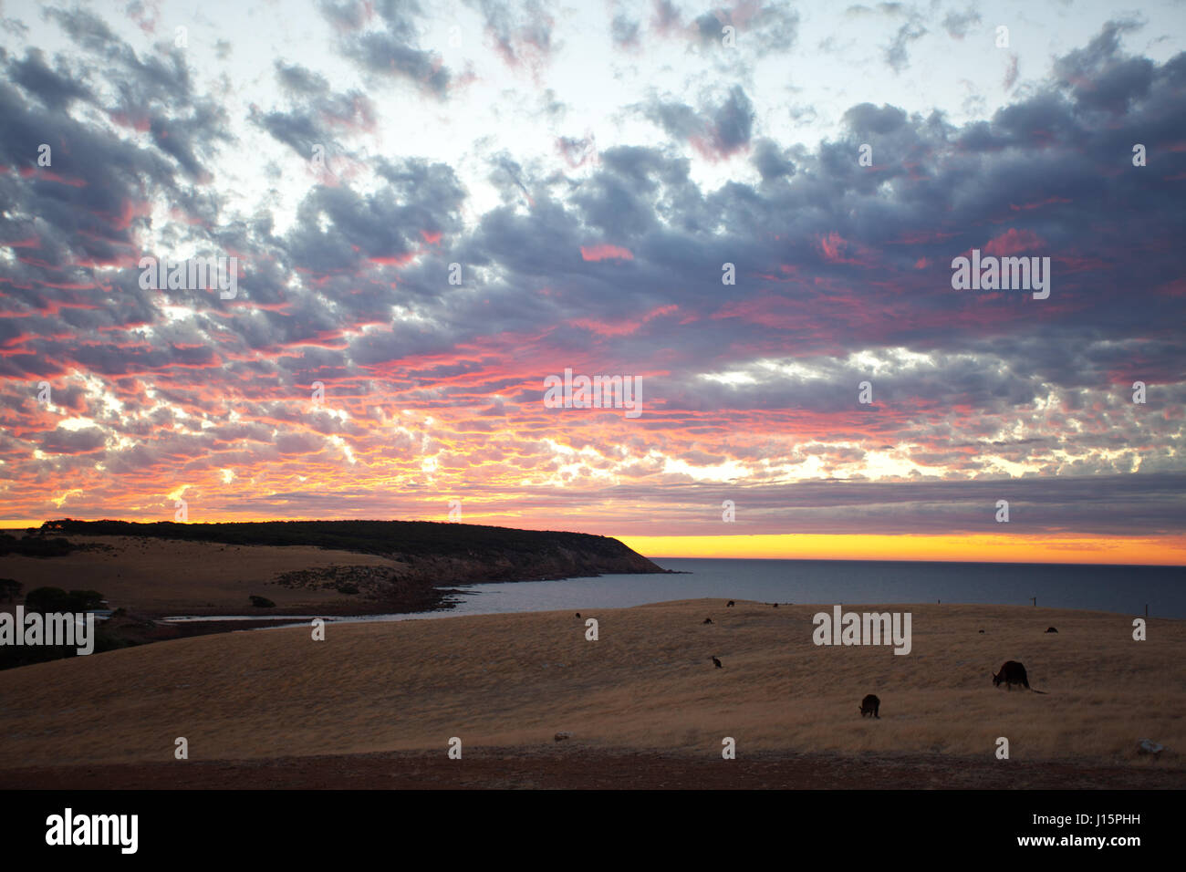 Scenic view of beautiful sunset on Kangaroo Island, South Australia. Stock Photo