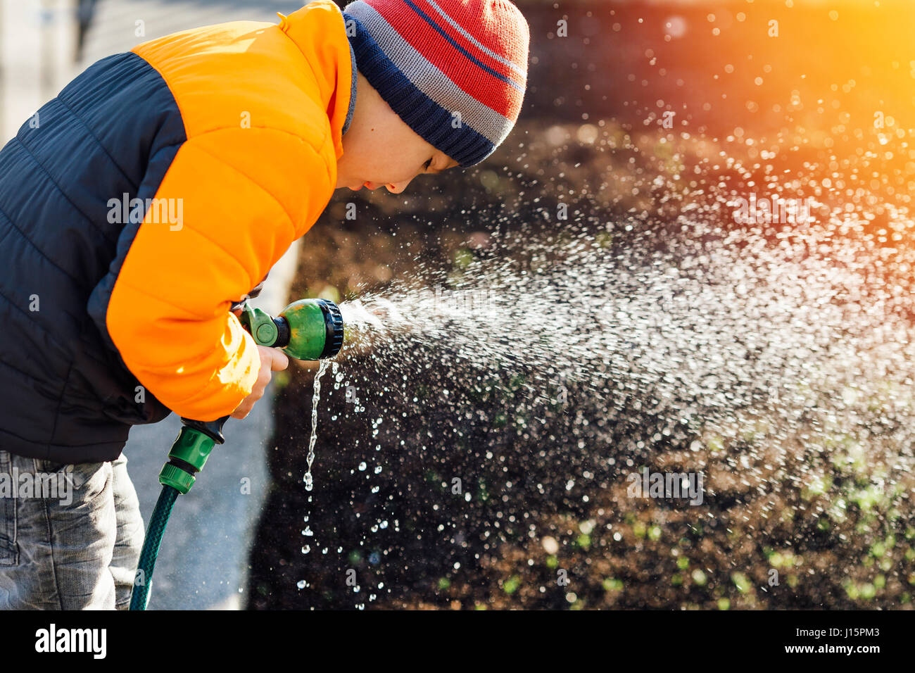 Little boy watering flowers with sunset background Stock Photo - Alamy