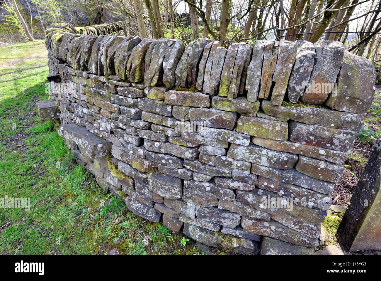 Lancashire field wall Stock Photo