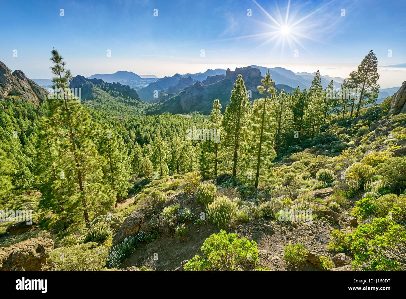 Mountain landscape on the way to Roque Nublo, Gran Canaria, Spain Stock Photo