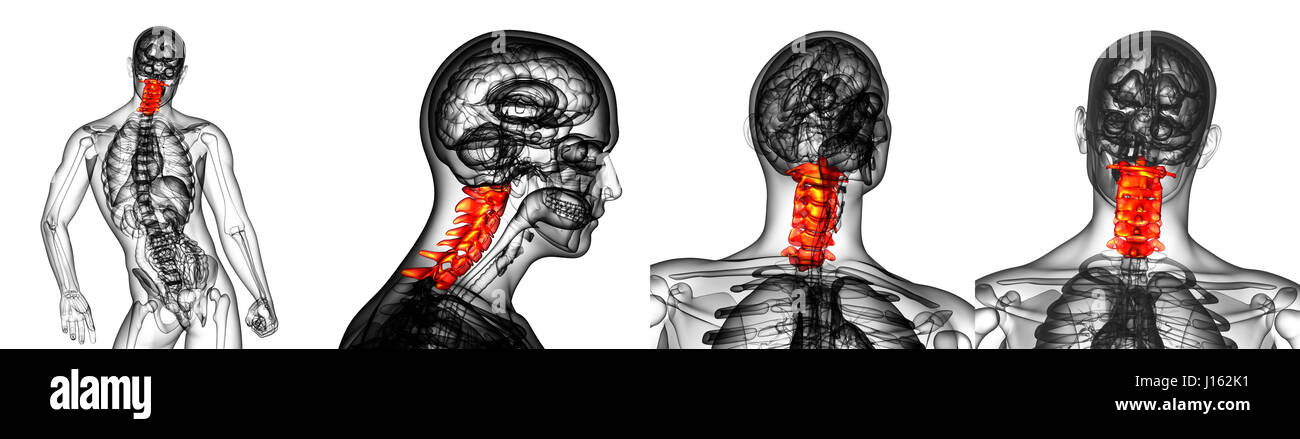3d rendering medical illustration of the cervical spine Stock Photo - Alamy