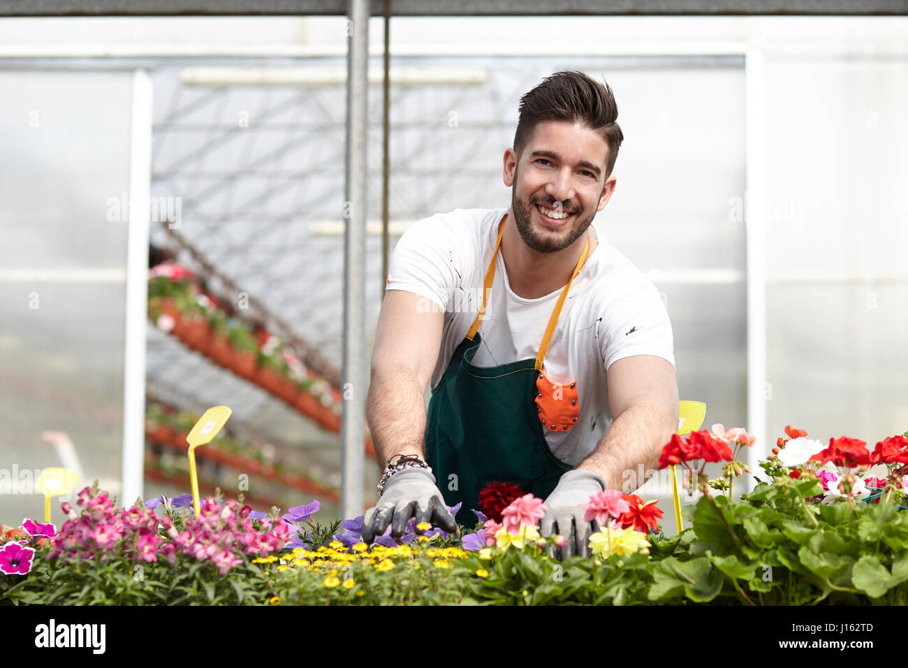 Happy man garden shop hi-res stock photography and images - Alamy