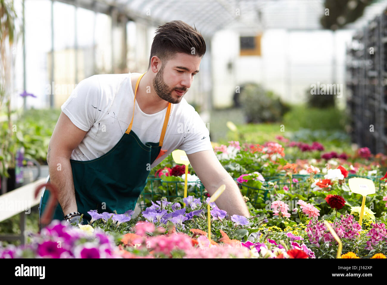 Happy man garden shop hi-res stock photography and images - Alamy