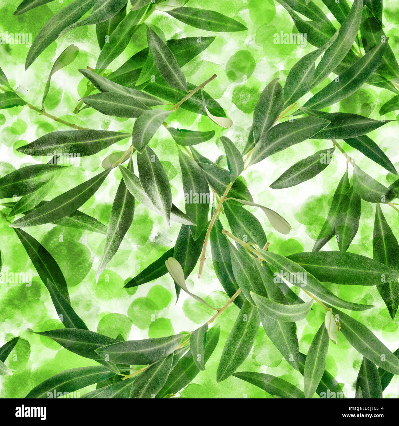 A seamless pattern with olive tree branches on a dotted green ...