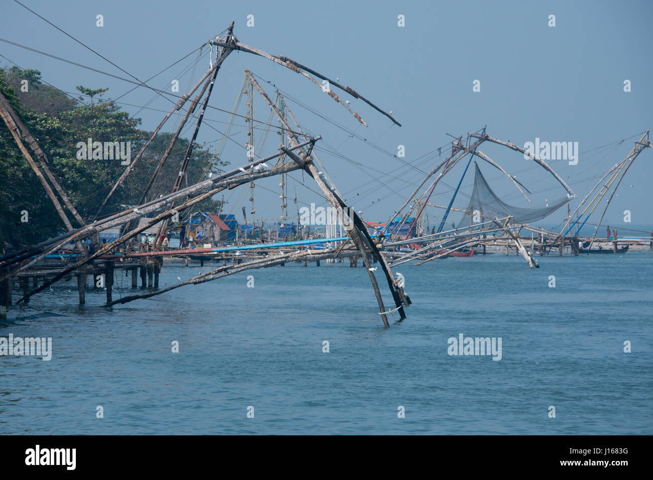 India, State of Kerala, port city of Cochin. Traditional Chinese fishing nets (aka Cheena vala). Stock Photo